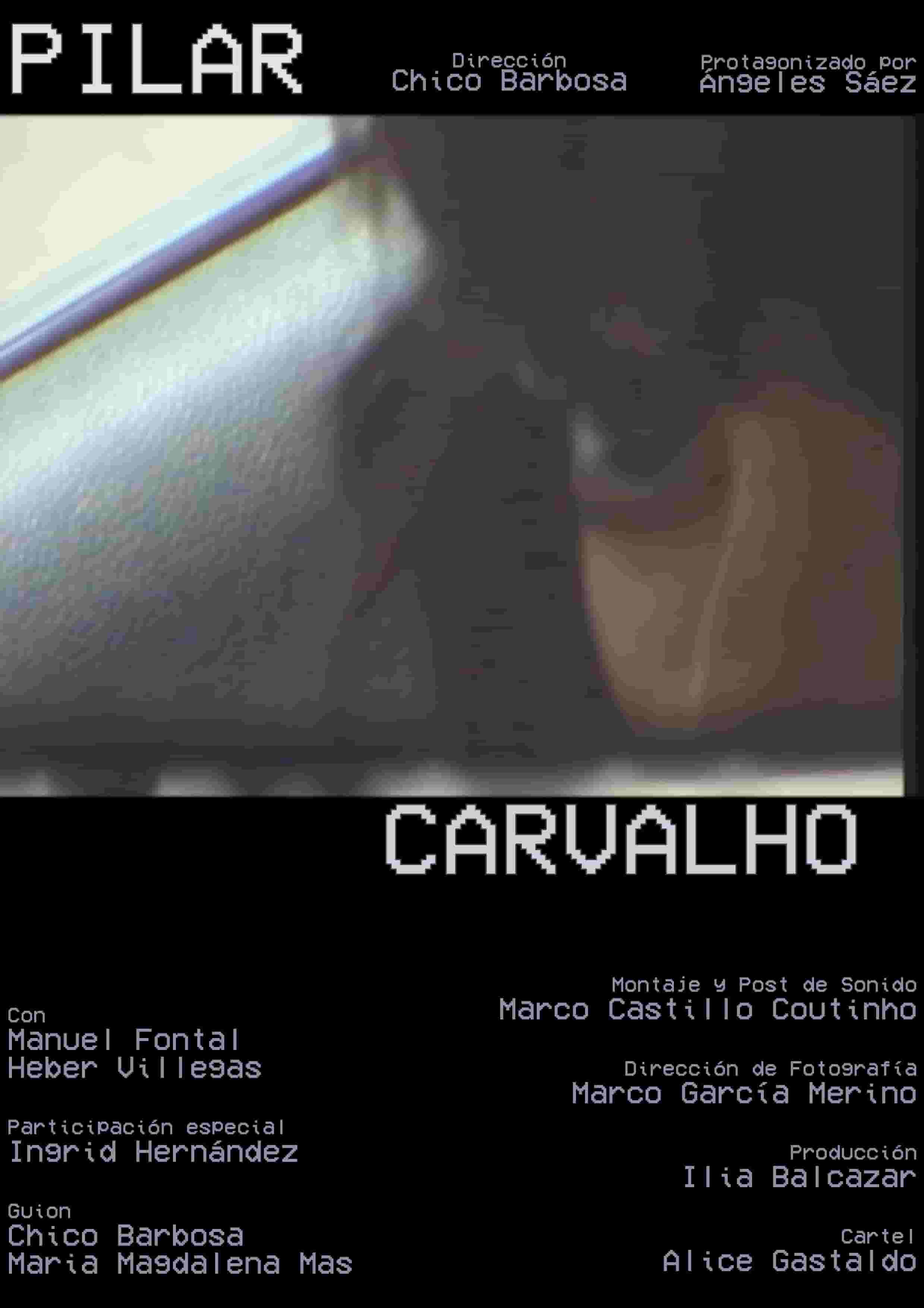 pilar_carvalho